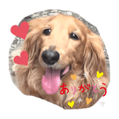 [LINEスタンプ] デブちゅあdaxまろんデス