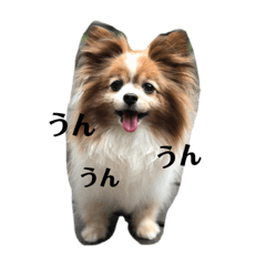 [LINEスタンプ] サンビビ