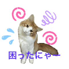 [LINEスタンプ] りおニャンズ