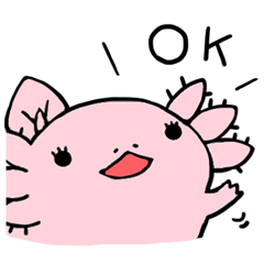 [LINEスタンプ] ウーパーちゃん（毎日）