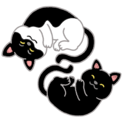 [LINEスタンプ] ネコのヤマトとオレオ