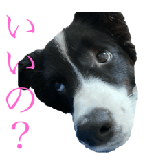 [LINEスタンプ] ぐみらむ
