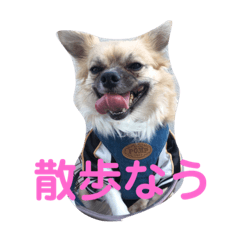 [LINEスタンプ] by.ponta