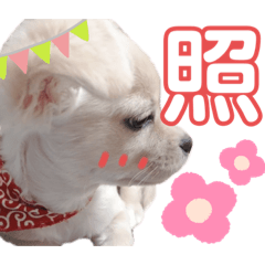[LINEスタンプ] ぷんたスタンプ