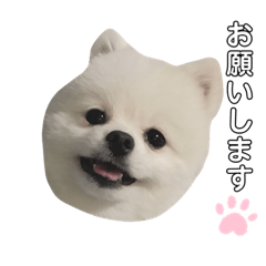[LINEスタンプ] マヨ様だよ