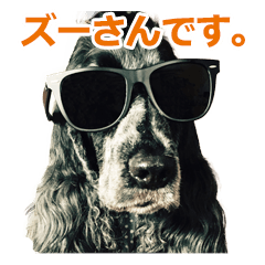 [LINEスタンプ] ズーとQ太のスタンプ