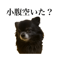 チロルの気持ち 2