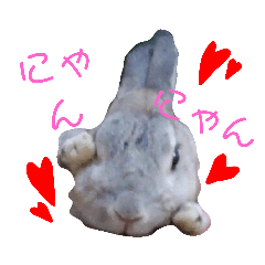 [LINEスタンプ] くっつき耳のぷーちゃん