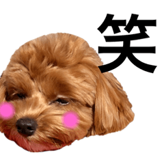 [LINEスタンプ] ねね♡