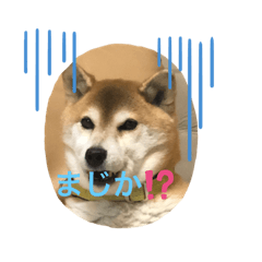[LINEスタンプ] モコとチロル