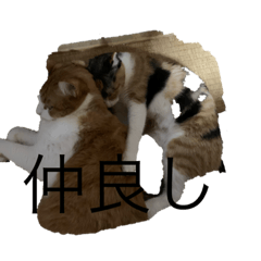 [LINEスタンプ] あずきとチャマメ