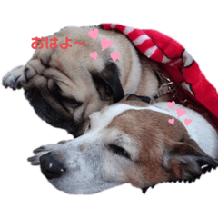 [LINEスタンプ] はなちゃんひなちゃん