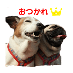 [LINEスタンプ] はなちゃんひなちゃん2