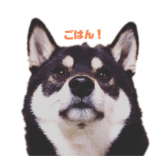 [LINEスタンプ] ユキ部長 第1弾