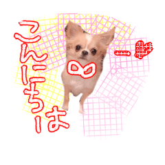 [LINEスタンプ] ルルちゃん今日も元気