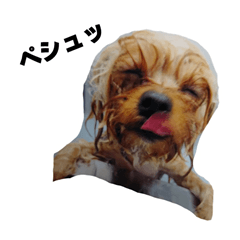 [LINEスタンプ] 枝豆＆冷奴