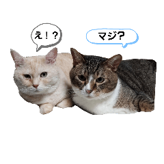 [LINEスタンプ] 柚子＆紅葉(2)