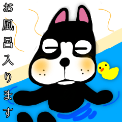 [LINEスタンプ] ボストンテリアの可愛いマレちゃんの画像（メイン）