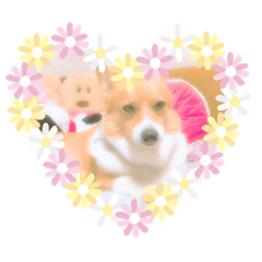 [LINEスタンプ] komatsukehhjjvft