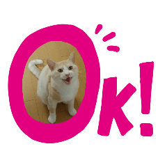[LINEスタンプ] くりーむとみーこ④