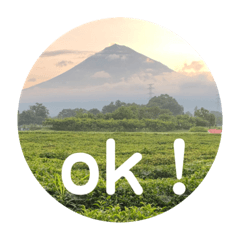 [LINEスタンプ] 富士山パート5
