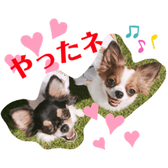 [LINEスタンプ] coco❤︎momo②