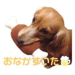 [LINEスタンプ] さくつくちゃちゃ♡
