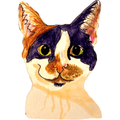 [LINEスタンプ] 三毛猫 るぴちゃんの手描きスタンプ