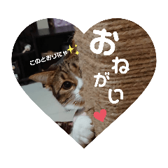 [LINEスタンプ] にゃんた・ちょび・てん