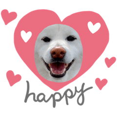 [LINEスタンプ] 柴犬BAY2
