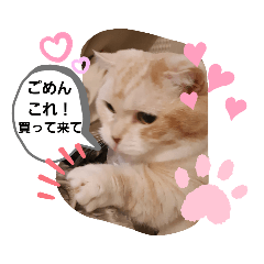[LINEスタンプ] ねこのサスケさん3