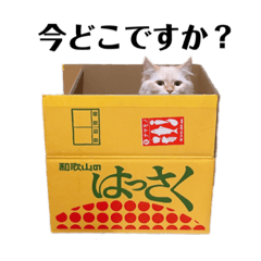 [LINEスタンプ] くるみとぽぽのスタンプ