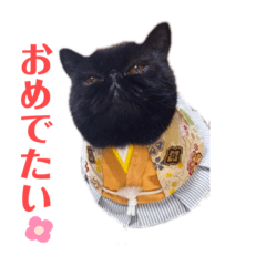 [LINEスタンプ] 黒いマシュマロ❤︎おギギしゃん