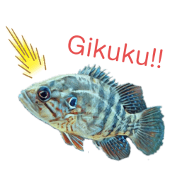 [LINEスタンプ] オヤニラミ☆スタンプ