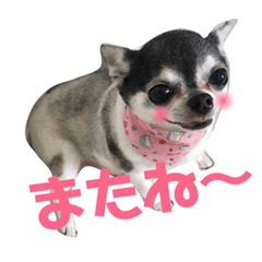 [LINEスタンプ] ちくわのスタンプ二