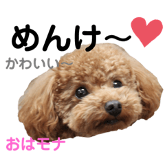 [LINEスタンプ] おはモナ 秋田弁version