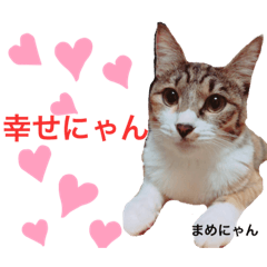 [LINEスタンプ] たくおんち