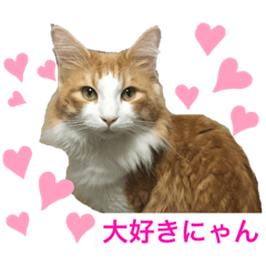 [LINEスタンプ] りおニャンズ2