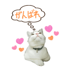 [LINEスタンプ] ソナのスタンプ2