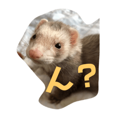 [LINEスタンプ] きよぴーの小さなお友達。