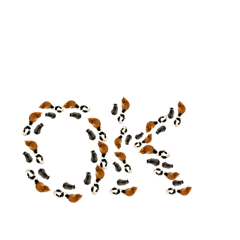 [LINEスタンプ] 猫達⑧