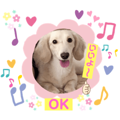 [LINEスタンプ] カニンヘンダックス♡チーズの日常生活