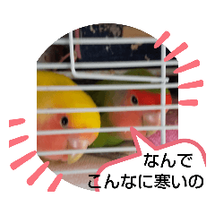 [LINEスタンプ] kawafamily20