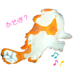 [LINEスタンプ] うみの生き物たちとダイバーによる日常会話