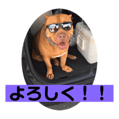 [LINEスタンプ] パニック❤️