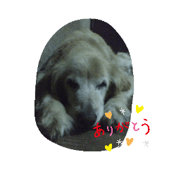[LINEスタンプ] アニエス