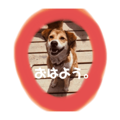 [LINEスタンプ] 私はみんみん。