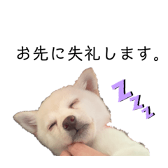 [LINEスタンプ] あやてまさん。