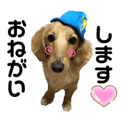 [LINEスタンプ] ダックスのあんずとひまり②