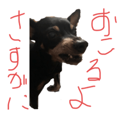 [LINEスタンプ] ミニピンのリク3